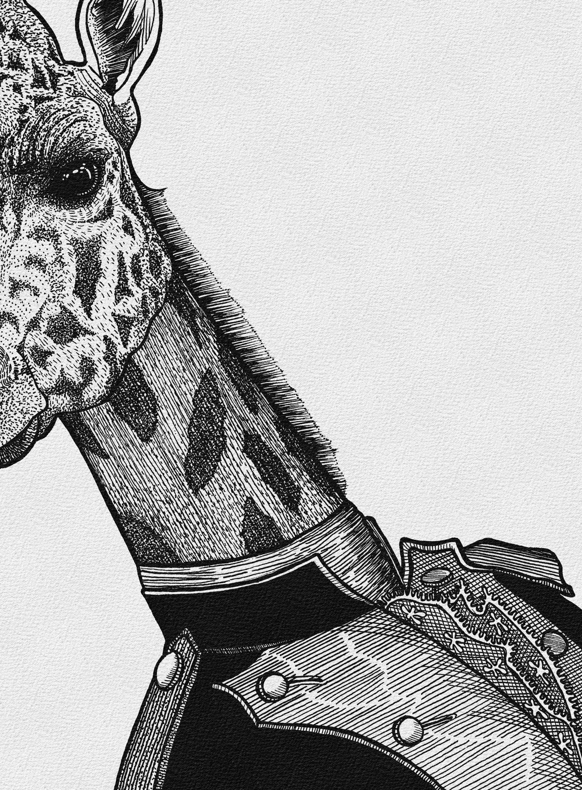 Stampa illustrazione “Ritratto di Sua Altezza Reale, la Giraffa”