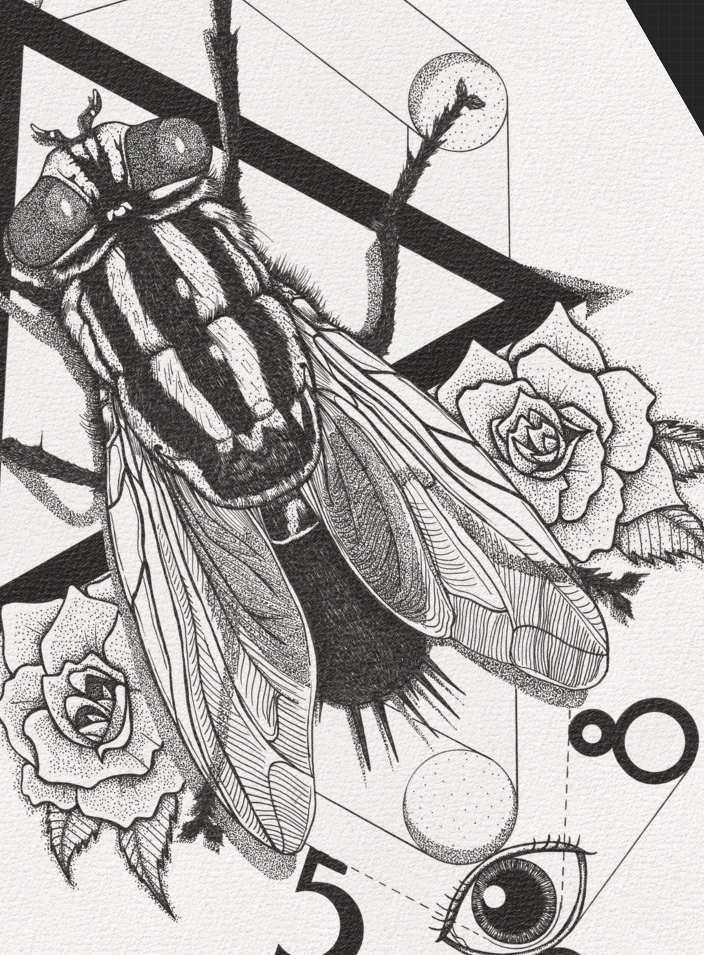 Stampa illustrazione “The Fly – Sacred Geometry Print”