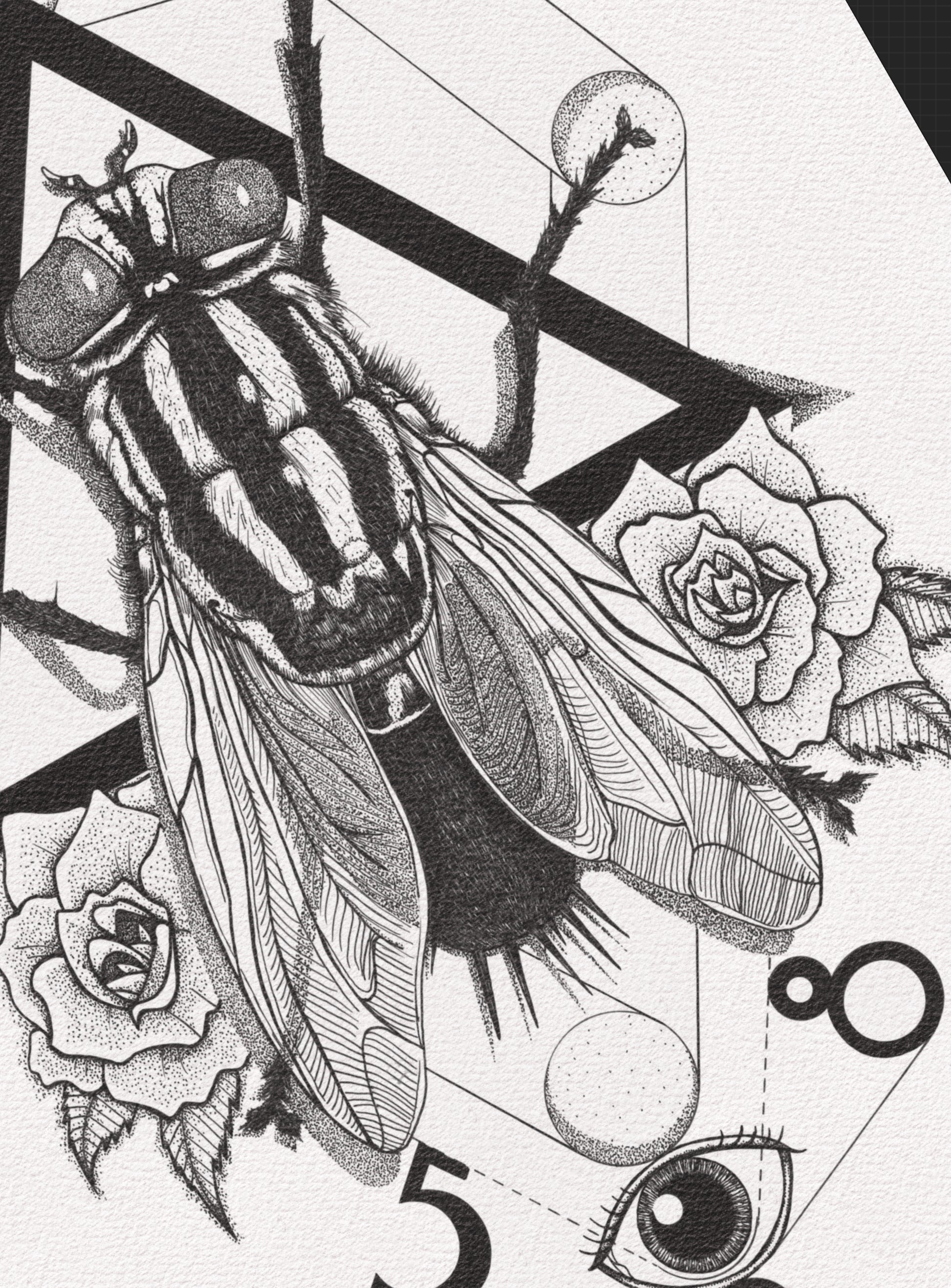 Stampa illustrazione “The Fly – Sacred Geometry Print”